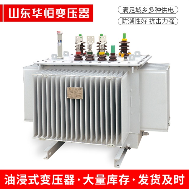 S13-10000/35定南定南定南电力变压器
